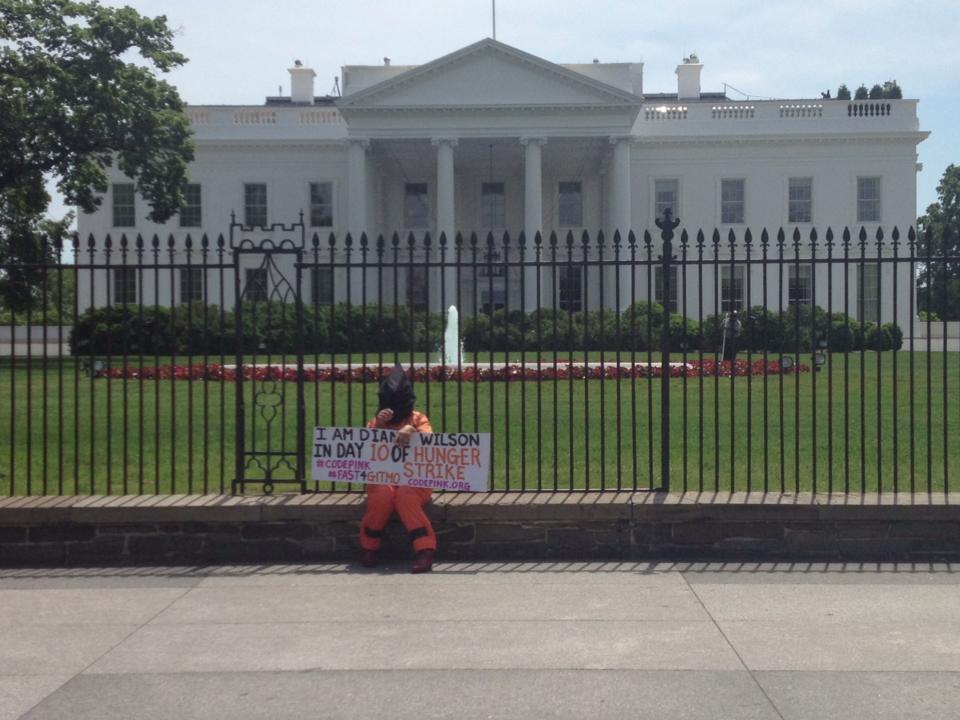 Diane Wilson in front of the White House.