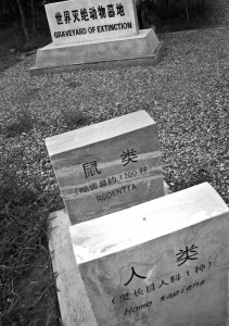 "Graveyard Homo Sapien" Photo Credit: Linda Wolf