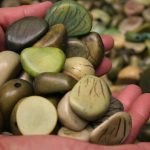 Whole Tagua seeds that have been died  green