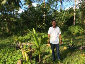 Fair Trade farmer works to replant coconut trees